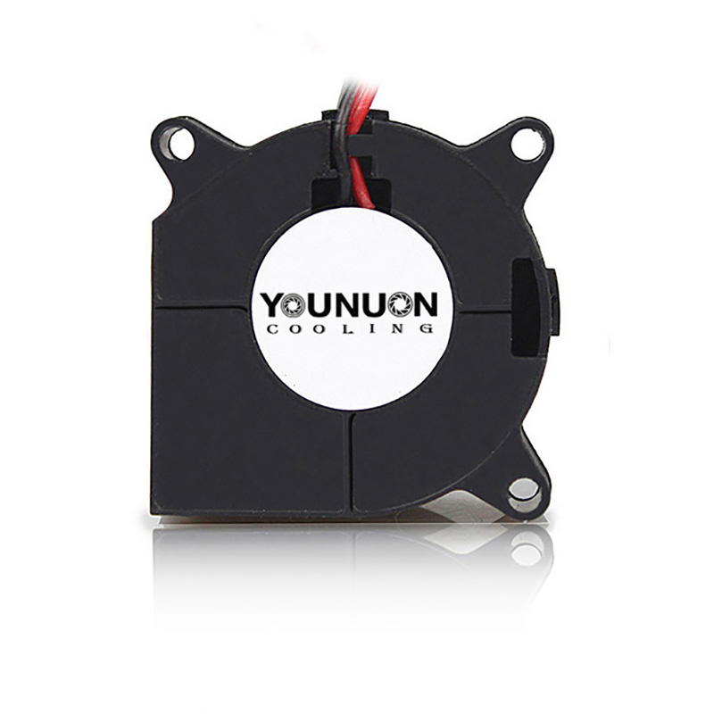 2 pezzi 40mm ventilatore 4020  - 3D Printer Power Supply recensione e prezzo