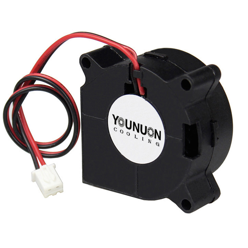 2 pezzi 40mm ventilatore 4020  - 3D Printer Power Supply recensione e prezzo