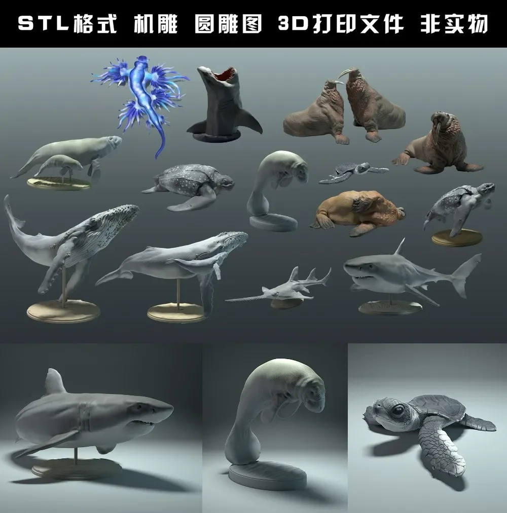 Animali, orso polare, takin, l - 3D Printing File Stl recensione e prezzo